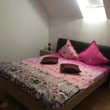 בית הארחה Pensiunea Darius קוסטינסטי