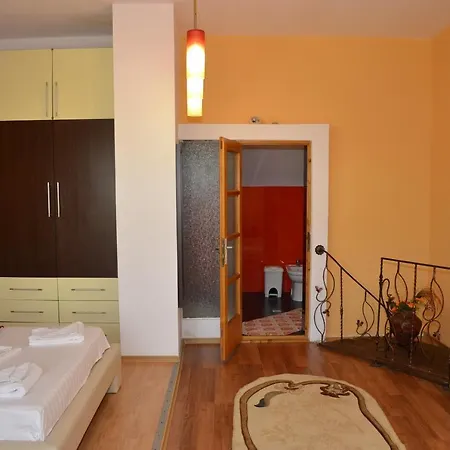 Pensiunea Darius בית הארחה