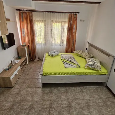 Pensiunea Darius בית הארחה