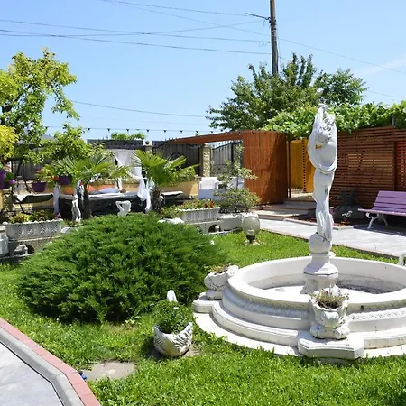 Pensiunea Darius Maison d'hôtes Costinesti